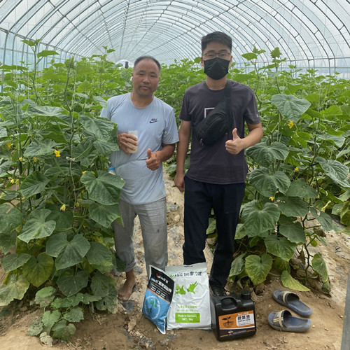 摩爾中牟試驗(yàn)田2 摩爾中牟試驗(yàn)田2